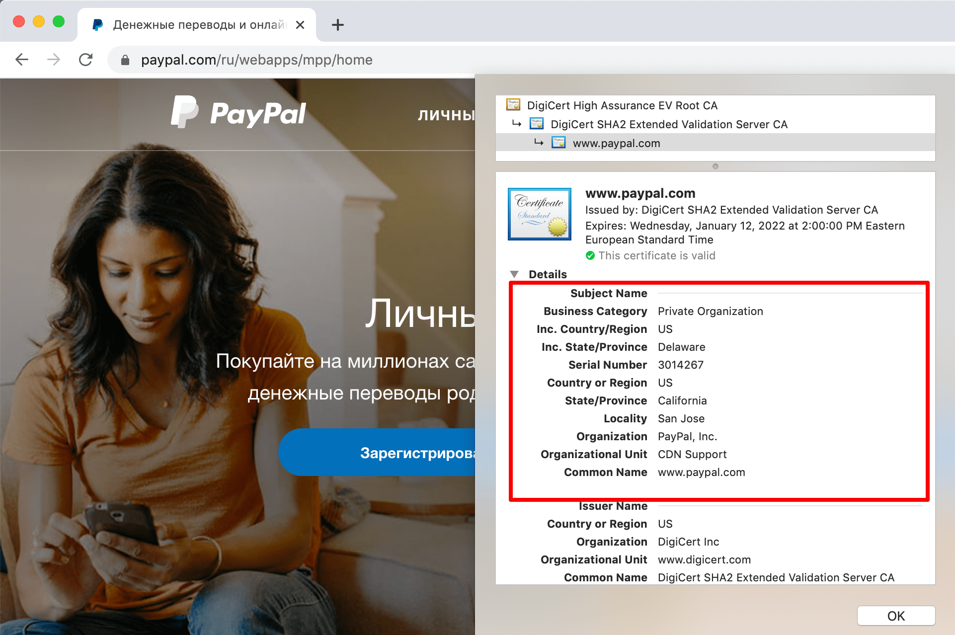 Проверить тип SSL-сертификата в Chrome Тип SSL сертификата в настройках