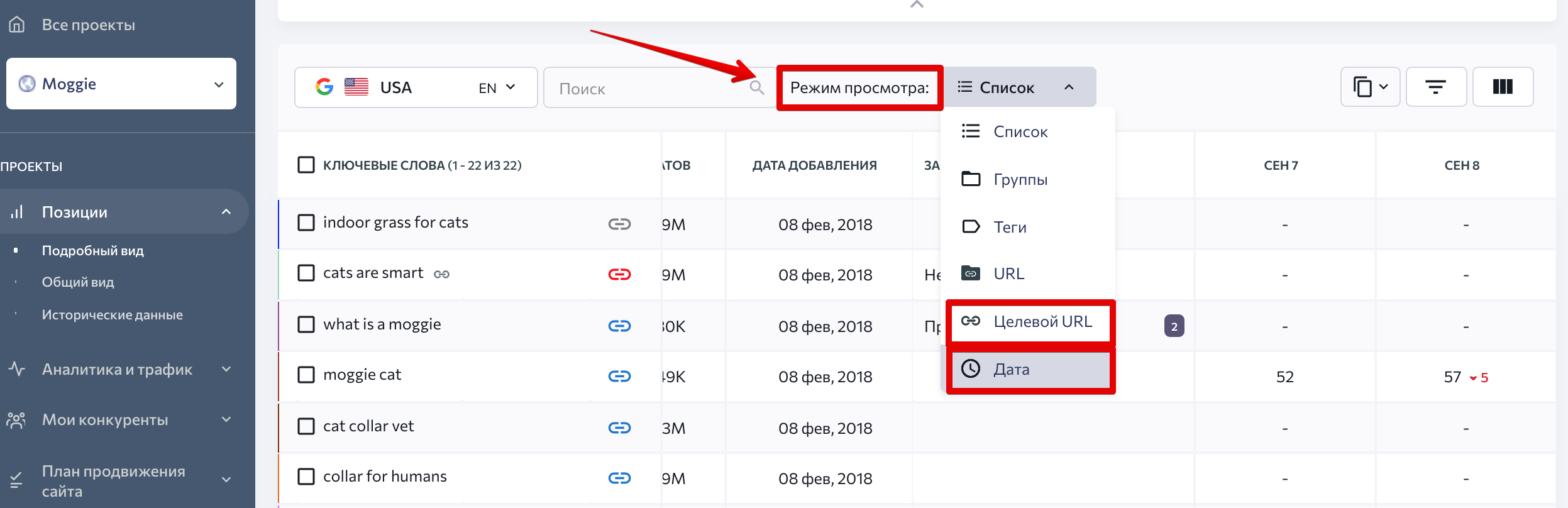 как отфильтровать позиции в SE Ranking режим просмотра позиций