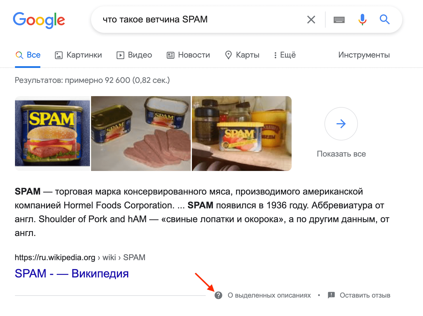 Как выглядит выделенное описание в выдаче Google Выделенное описание в выдаче Google
